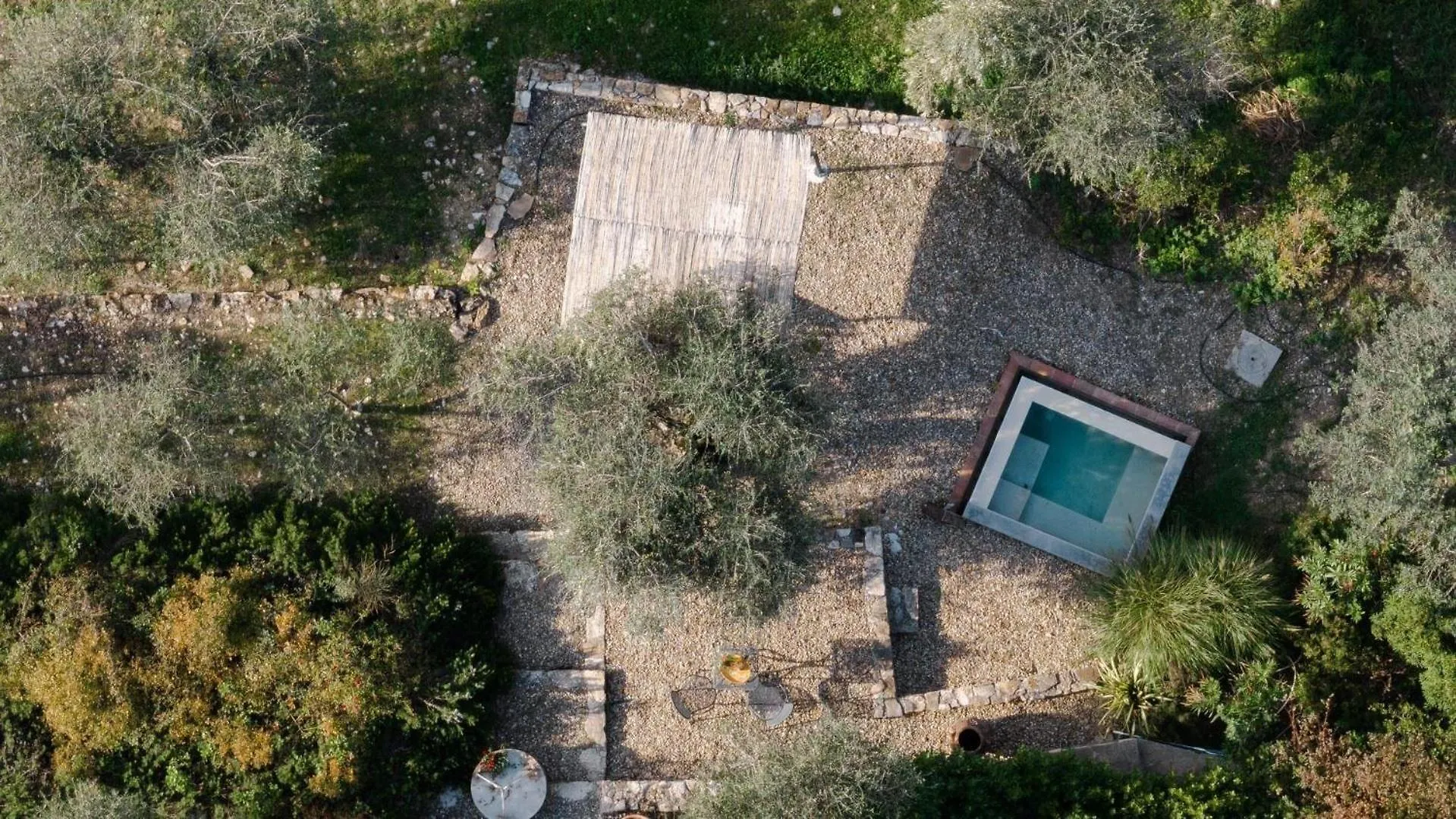 Holiday home L'Oliveta Villa Gaiole in Chianti Italy