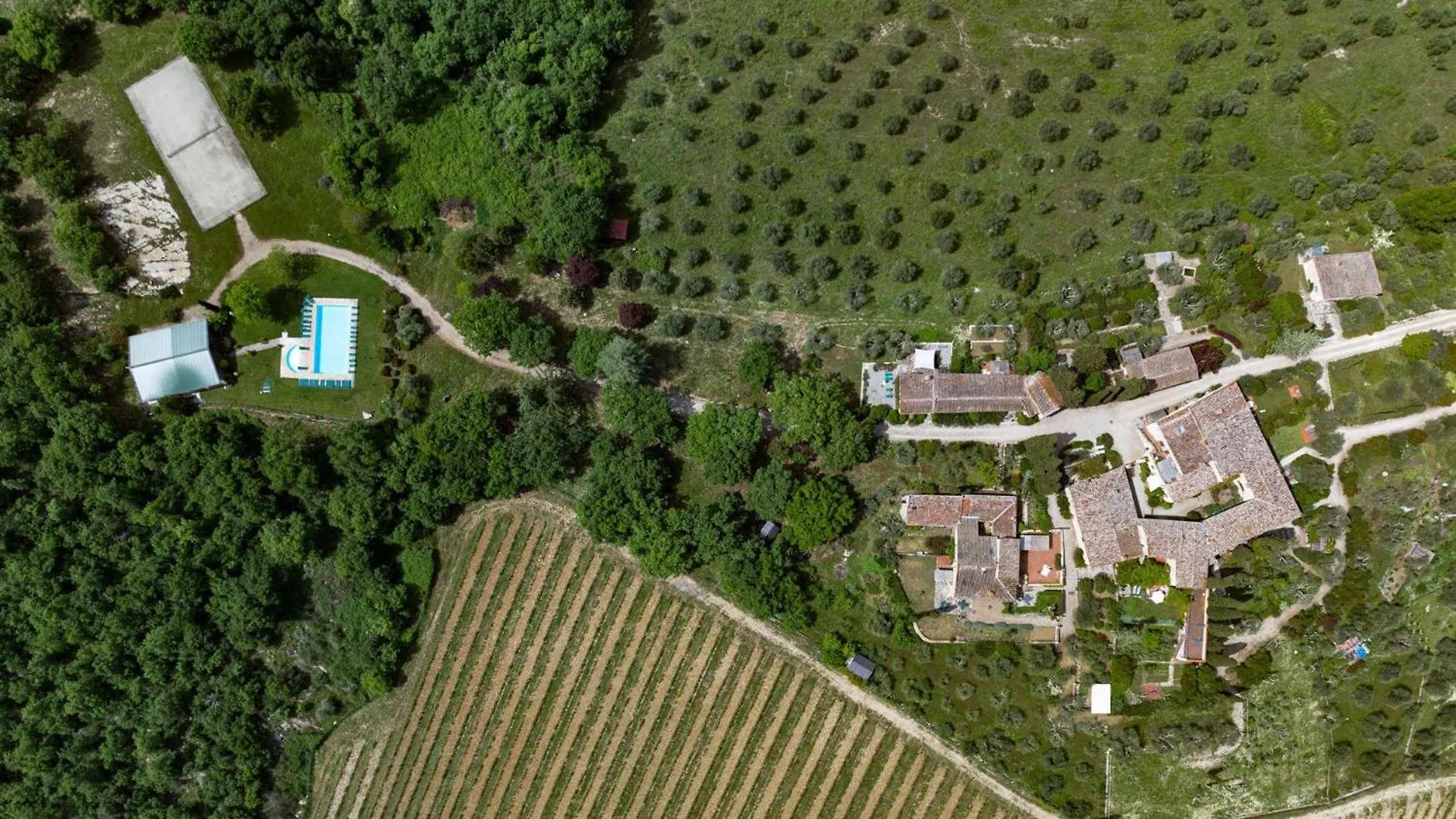 L'Oliveta Villa Gaiole in Chianti