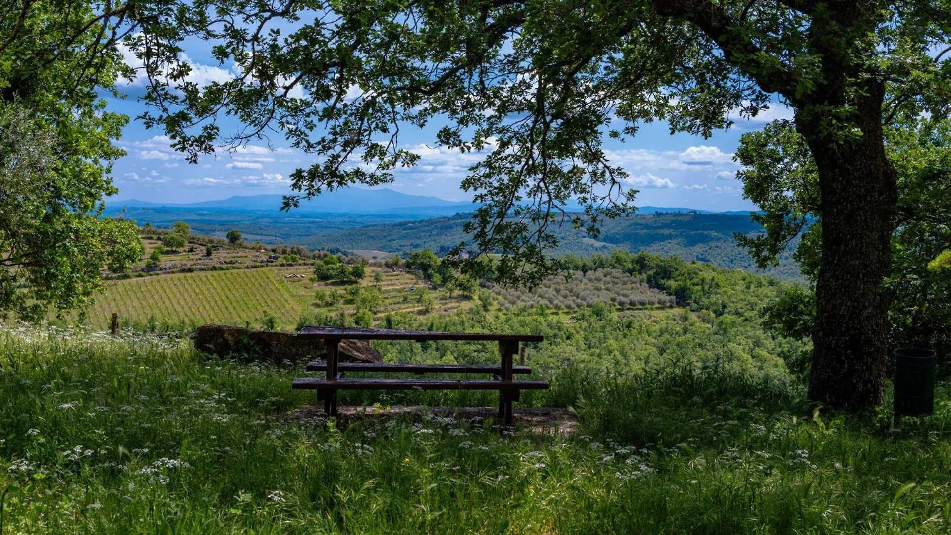 L'Oliveta Villa Gaiole in Chianti 0*,  Italy