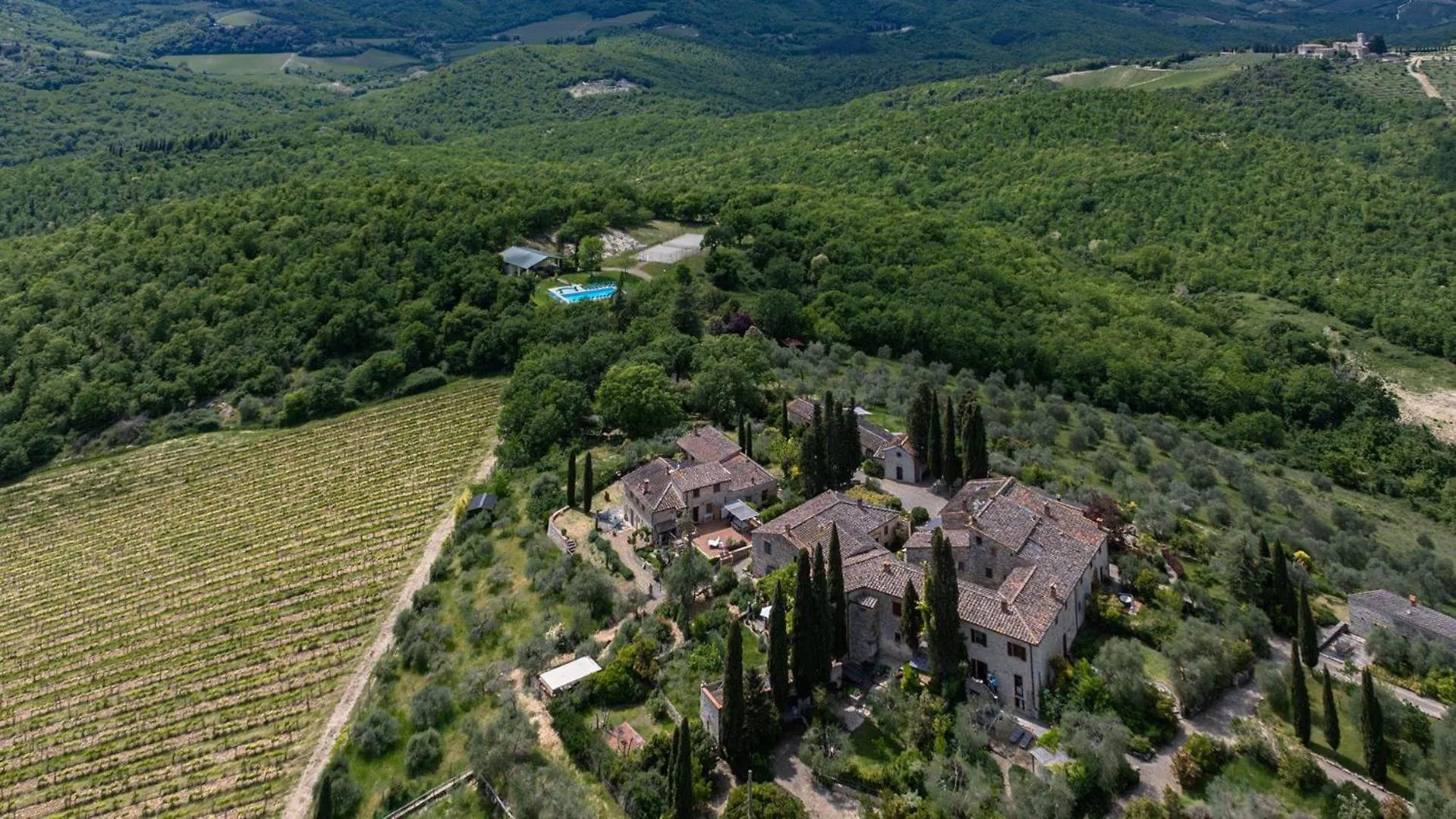 Holiday home L'Oliveta Villa Gaiole in Chianti