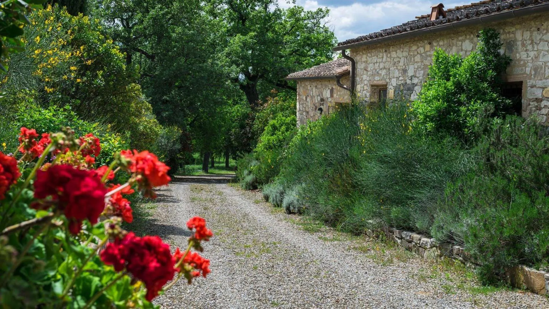 L'Oliveta Villa Gaiole in Chianti